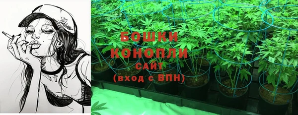 крисы Нея