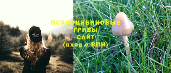 мдпв Нефтегорск