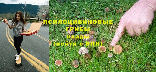 крисы Нея